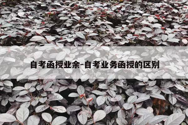 自考函授业余-自考业务函授的区别