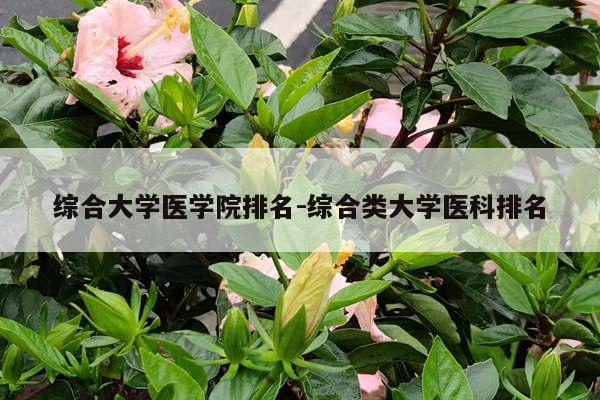 综合大学医学院排名-综合类大学医科排名