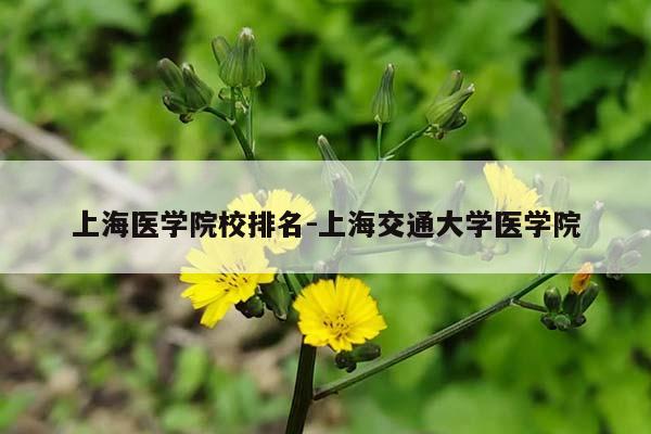 上海医学院校排名-上海交通大学医学院