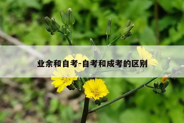 业余和自考-自考和成考的区别