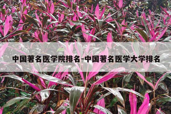 中国著名医学院排名-中国著名医学大学排名