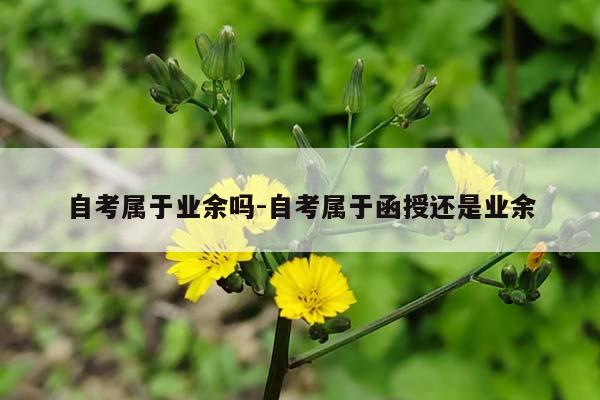 自考属于业余吗-自考属于函授还是业余