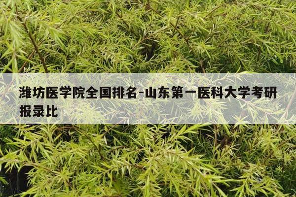 潍坊医学院全国排名-山东第一医科大学考研报录比