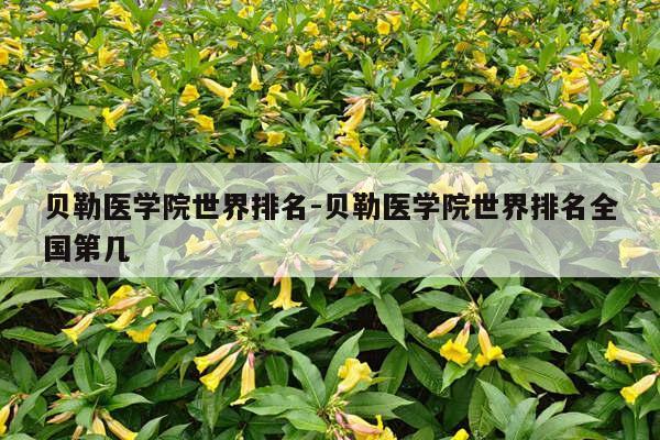 贝勒医学院世界排名-贝勒医学院世界排名全国第几
