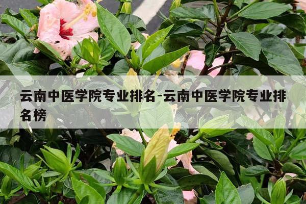 云南中医学院专业排名-云南中医学院专业排名榜