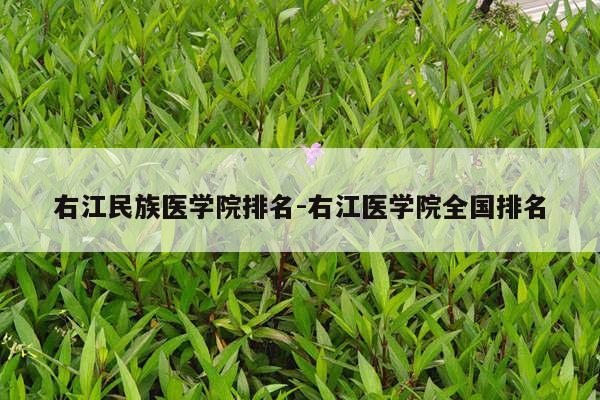 右江民族医学院排名-右江医学院全国排名