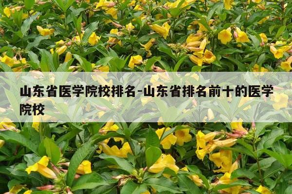 山东省医学院校排名-山东省排名前十的医学院校
