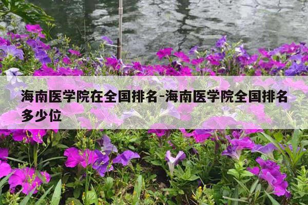 海南医学院在全国排名-海南医学院全国排名多少位