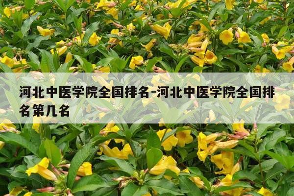 河北中医学院全国排名-河北中医学院全国排名第几名