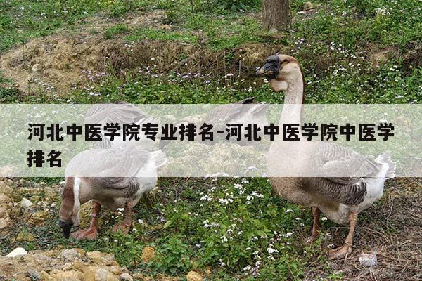 河北中医学院专业排名-河北中医学院中医学排名