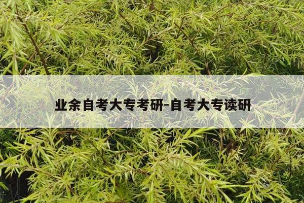 业余自考大专考研-自考大专读研