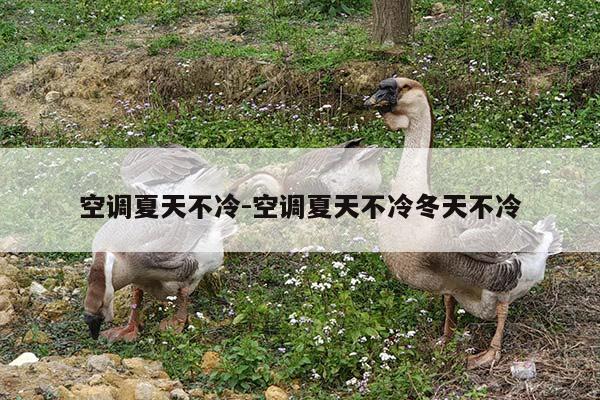 空调夏天不冷-空调夏天不冷冬天不冷