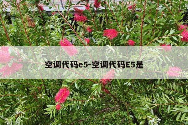 空调代码e5-空调代码E5是