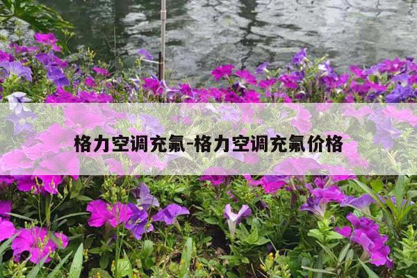 格力空调充氟-格力空调充氟价格