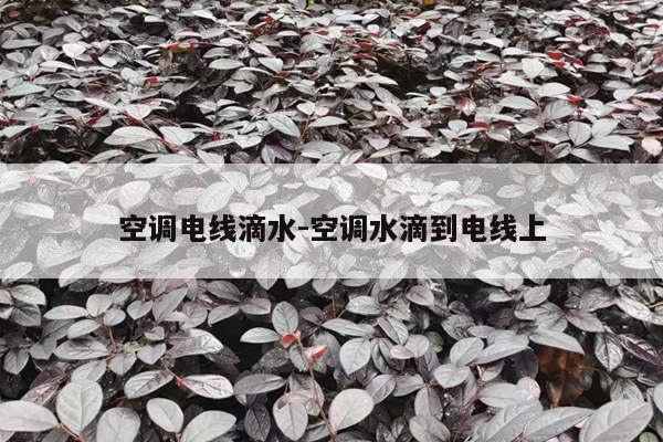 空调电线滴水-空调水滴到电线上