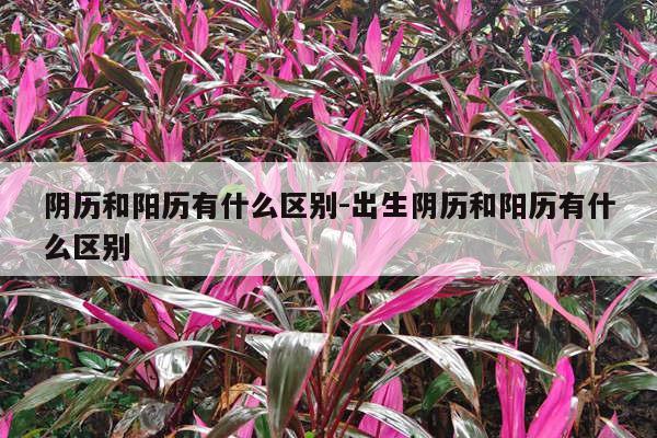 阴历和阳历有什么区别-出生阴历和阳历有什么区别