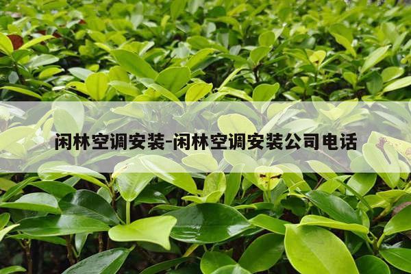 闲林空调安装-闲林空调安装公司电话