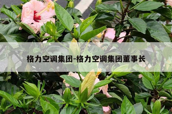 格力空调集团-格力空调集团董事长