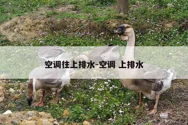 空调往上排水-空调 上排水