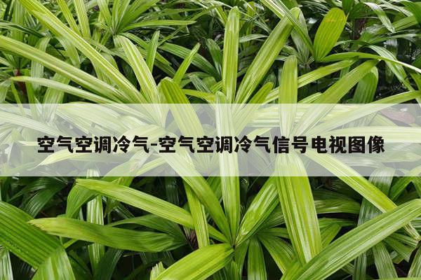 空气空调冷气-空气空调冷气信号电视图像