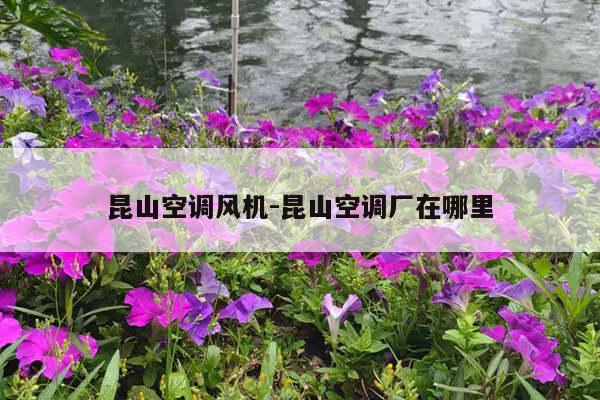 昆山空调风机-昆山空调厂在哪里