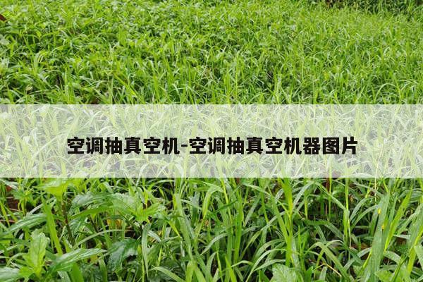 空调抽真空机-空调抽真空机器图片