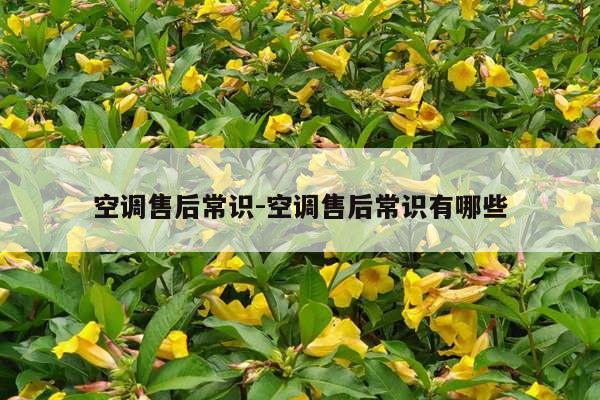 空调售后常识-空调售后常识有哪些