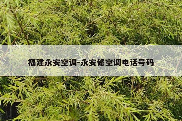 福建永安空调-永安修空调电话号码