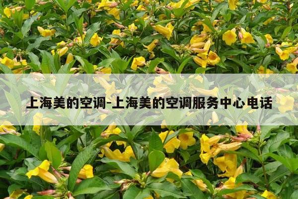 上海美的空调-上海美的空调服务中心电话