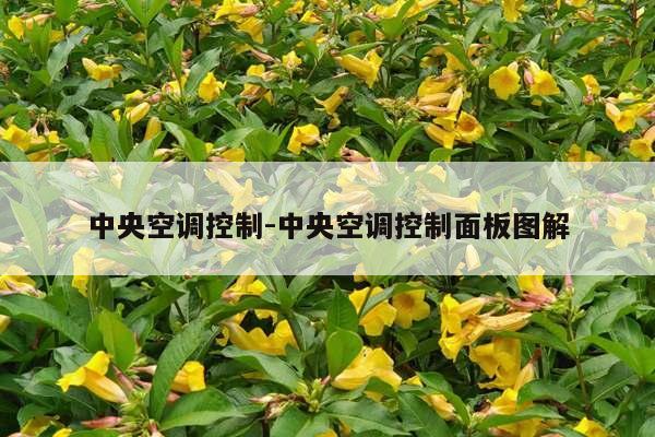 中央空调控制-中央空调控制面板图解