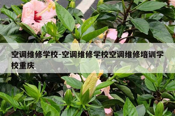 空调维修学校-空调维修学校空调维修培训学校重庆