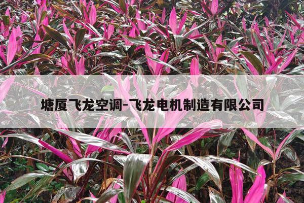 塘厦飞龙空调-飞龙电机制造有限公司