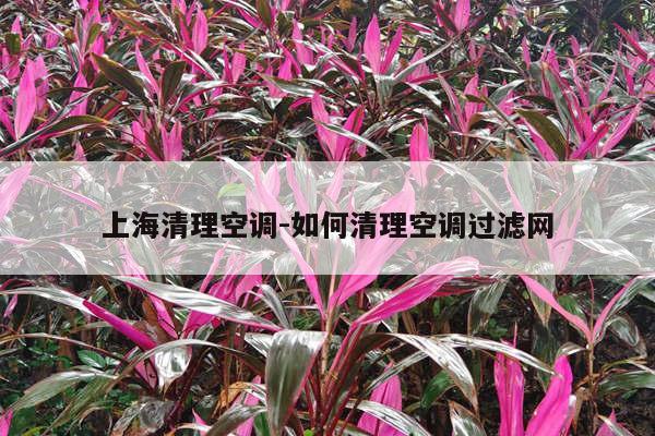 上海清理空调-如何清理空调过滤网