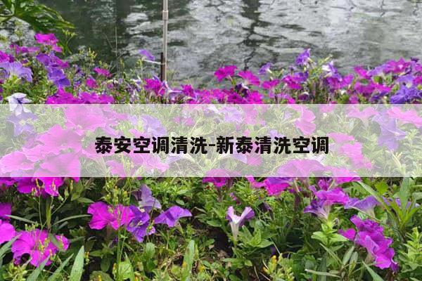 泰安空调清洗-新泰清洗空调