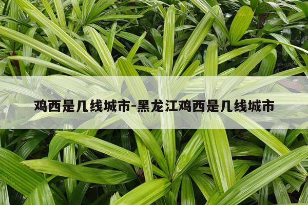 鸡西是几线城市-黑龙江鸡西是几线城市