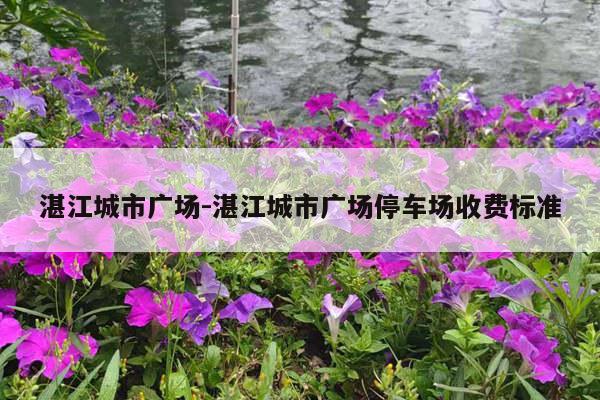 湛江城市广场-湛江城市广场停车场收费标准