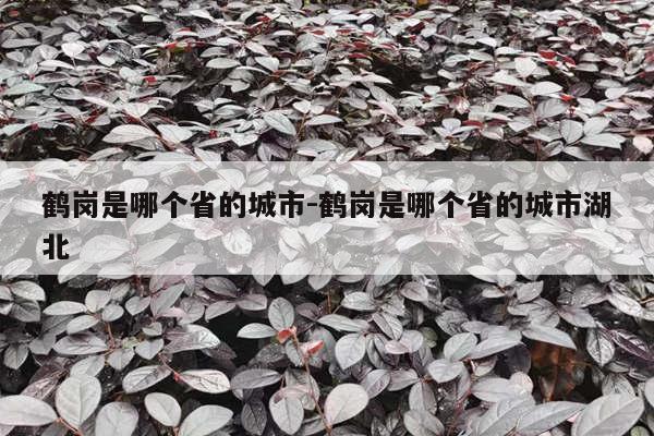 鹤岗是哪个省的城市-鹤岗是哪个省的城市湖北