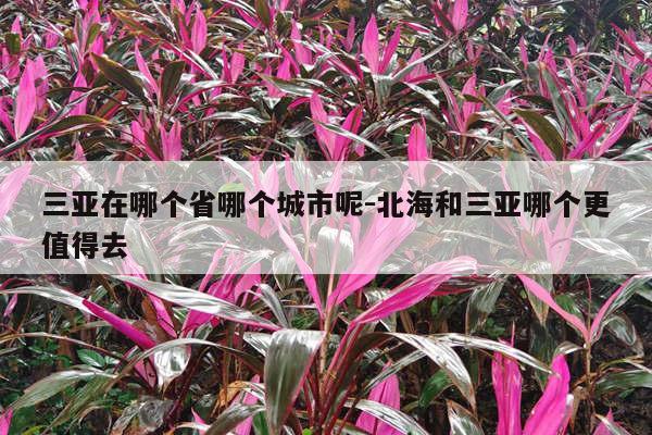 三亚在哪个省哪个城市呢-北海和三亚哪个更值得去