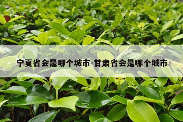 宁夏省会是哪个城市-甘肃省会是哪个城市