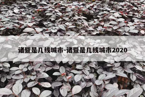 诸暨是几线城市-诸暨是几线城市2020