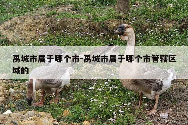 禹城市属于哪个市-禹城市属于哪个市管辖区域的