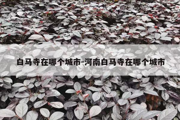 白马寺在哪个城市-河南白马寺在哪个城市