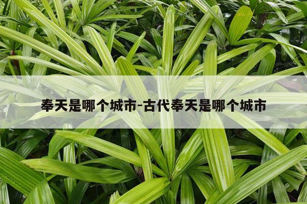 奉天是哪个城市-古代奉天是哪个城市